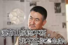催收公司能申请仲裁吗？揭秘债务催收中的法律途径