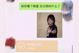 平远要账公司：专业高效的债务回收解决方案