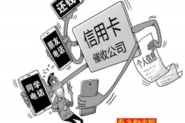 狮桥发短信催收:债务追收的法律途径与案例分析 狮桥发短信催收:债务追收的法律途径与案例分析