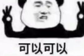 孩子被讨债的原因:揭秘背后的债务危机 孩子被讨债的原因:揭秘背后的债务危机