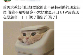 催收违法的话术怎么写：合规沟通的艺术